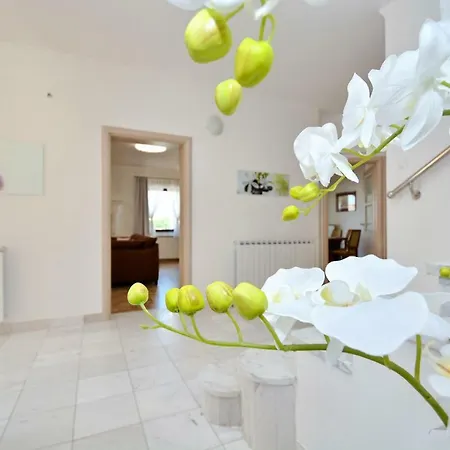 Βίλα Zupan Ζαντάρ