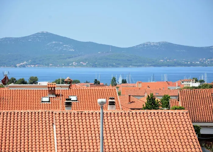 Zupan * Zadar