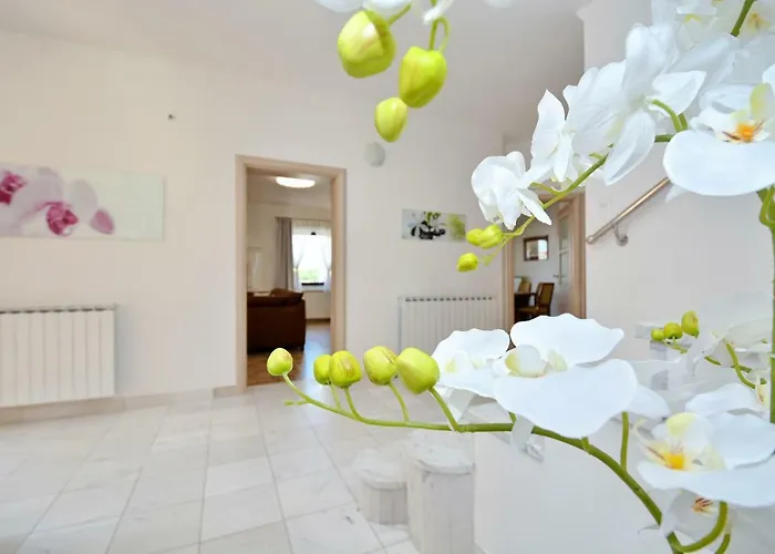 Villa Zupan Zadar